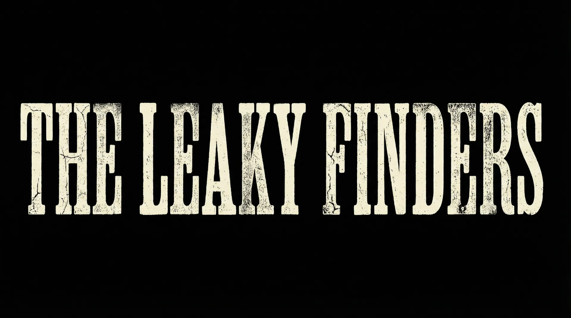 The Leaky Finders - Detección Profesional de Fugas de Agua Lanzarote