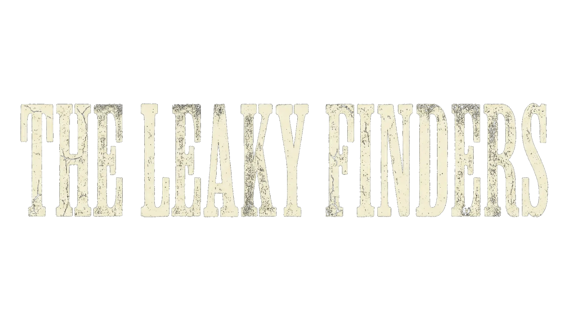 The Leaky Finders - Detección de Fugas de Agua en Lanzarote
