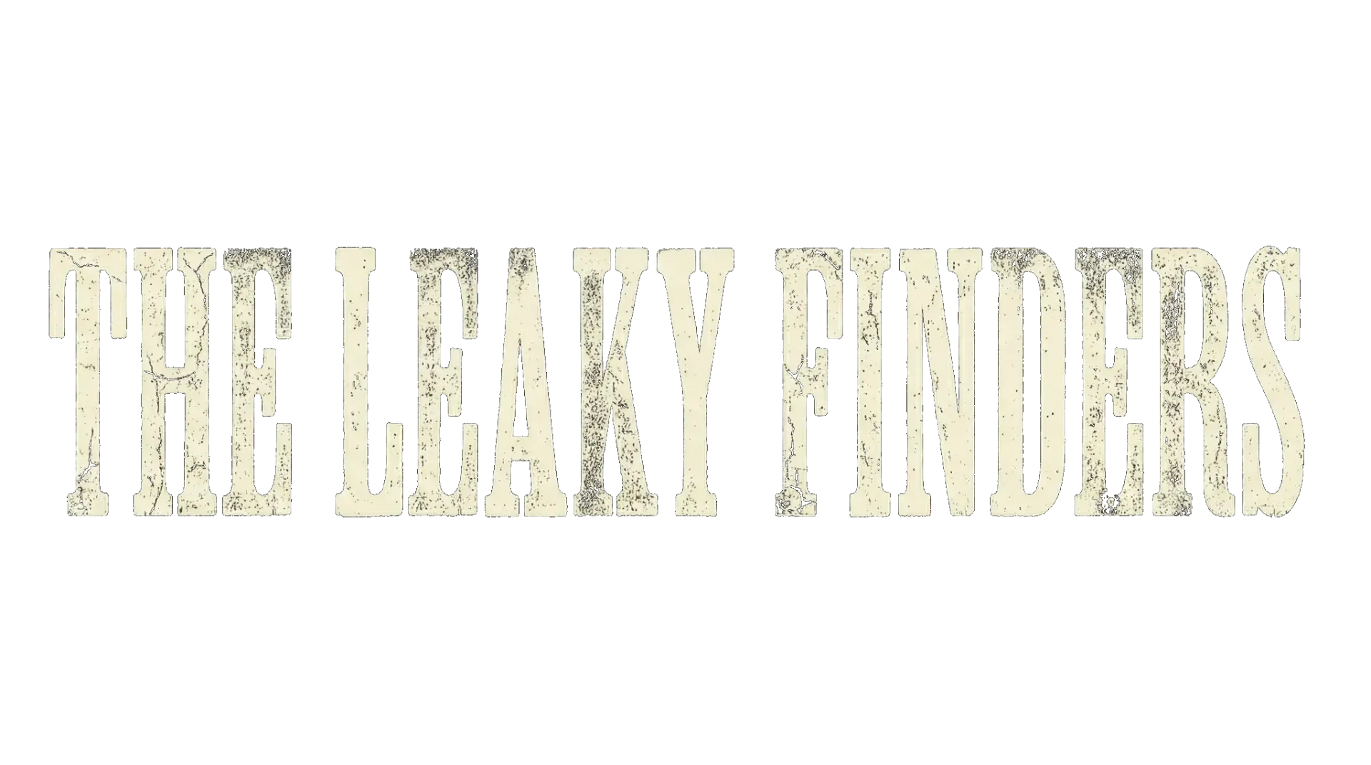 The Leaky Finders - Detección de Fugas de Agua en Lanzarote